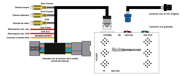 INTCAMAUD19 - Imagen 3