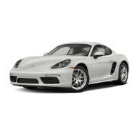Porsche Cayman 2017-2018